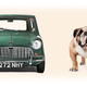 Illustration for article titled Would You Rather: Free Cars And Dead Dogs Edition